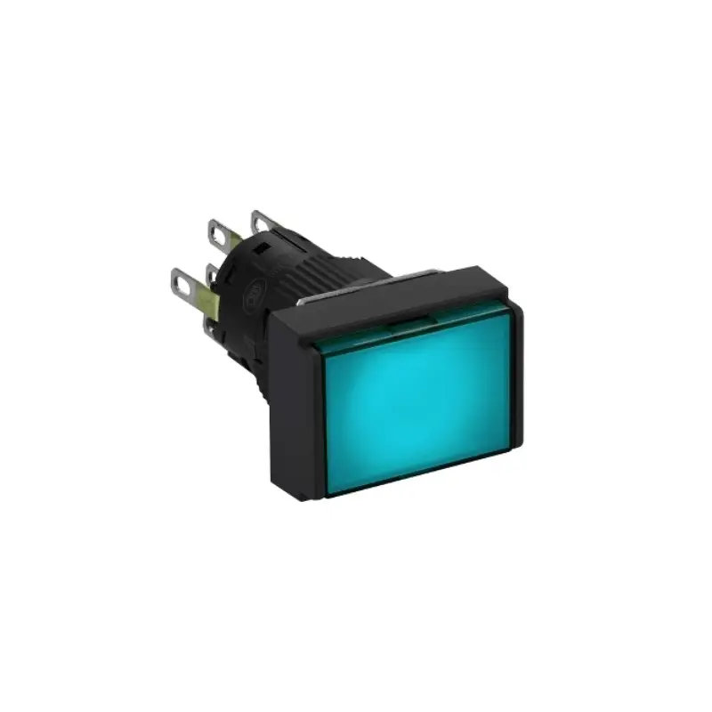 rectangular illuminated push button switch