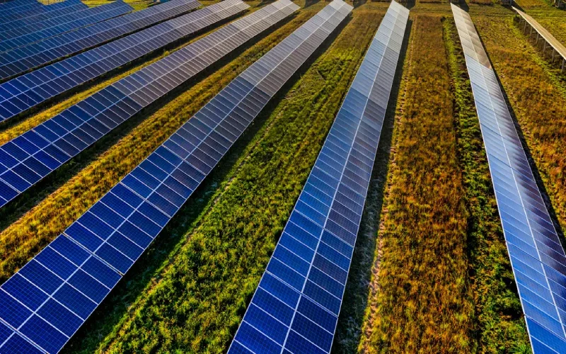 global energy policy trends 2025