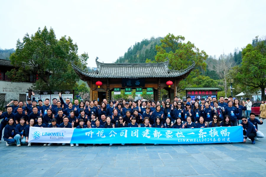 linkwell electric team